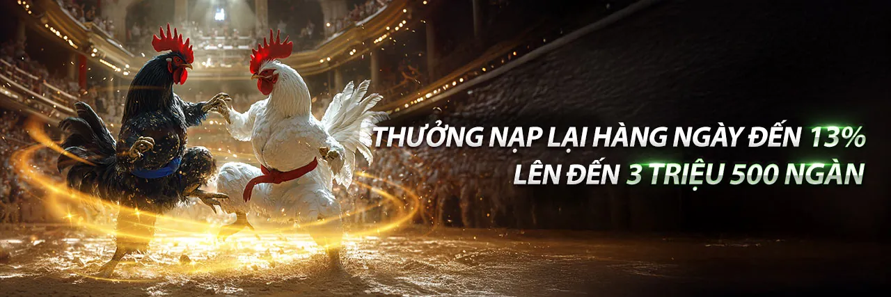 Hình ảnh đại diện Điều khoản Dịch vụ 678vip khuyến mãi